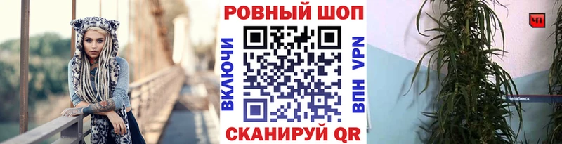 Названия наркотиков Людиново A-PVP МЕФ АМФЕТАМИН Метадон ГАШИШ МАРИХУАНА