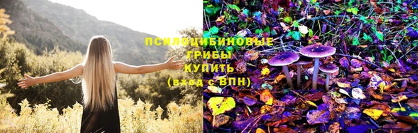 бошки Абаза