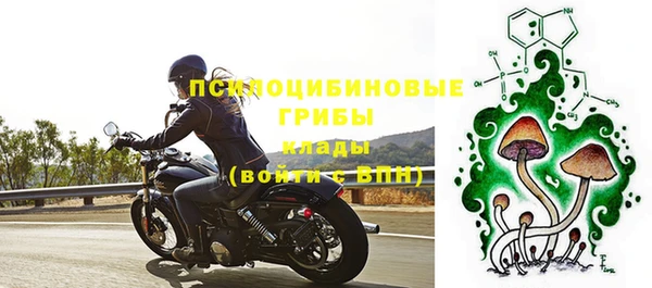 гидропоника Абдулино
