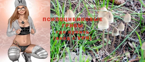 бошки Абаза