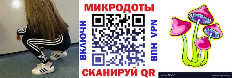Галлюциногенные грибы Psilocybe  Людиново 